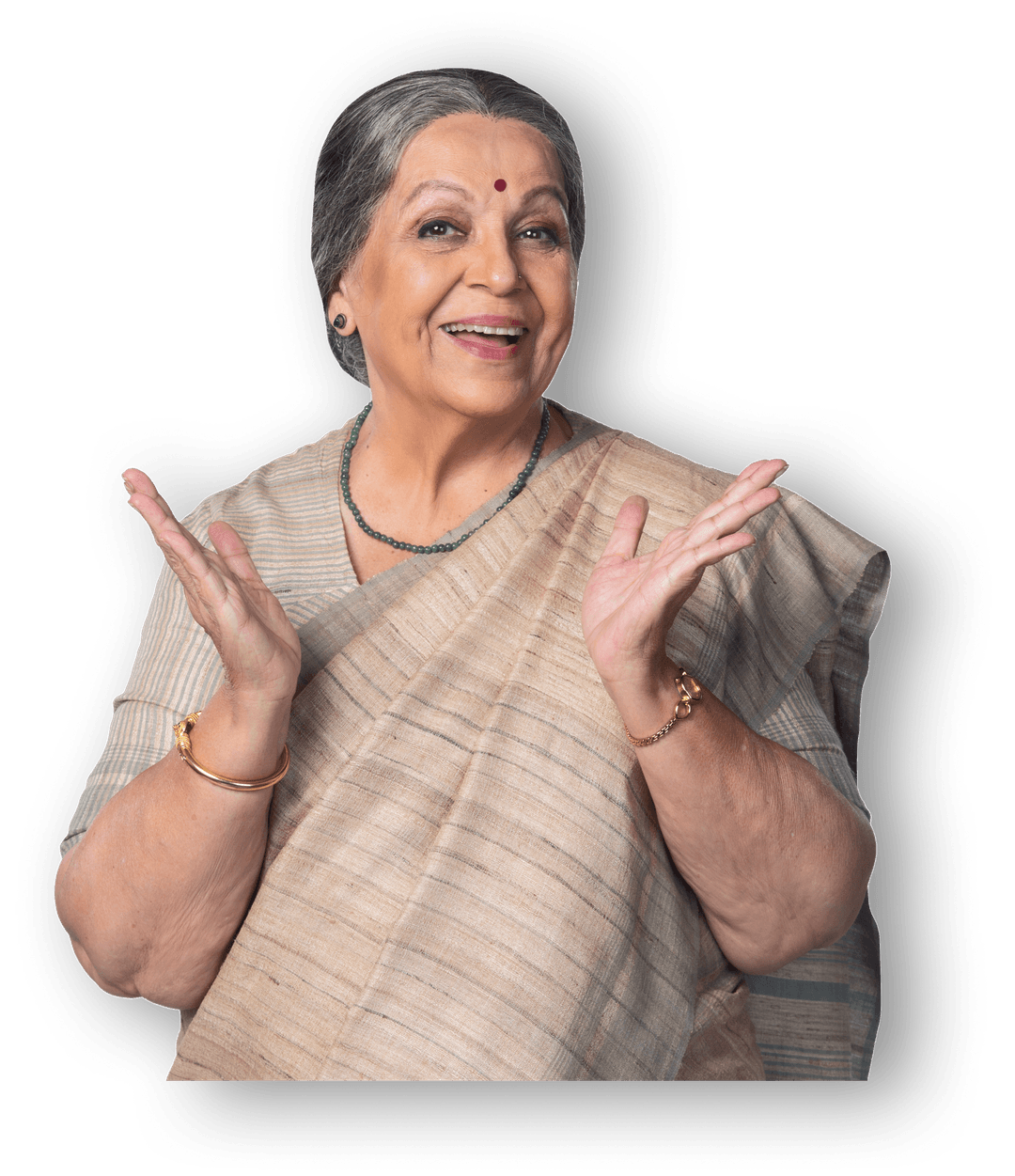 rohini